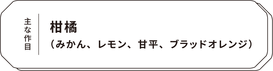 主な作目