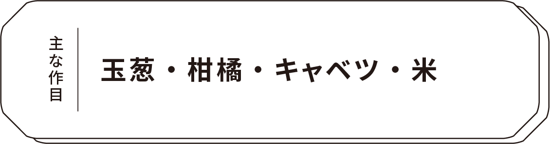 主な作目