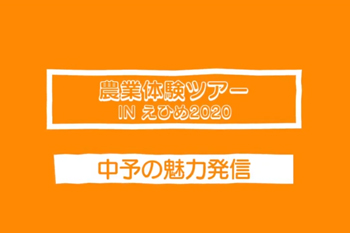 オンライン農業体験ツアーinえひめ2020　中予地区の魅力発信