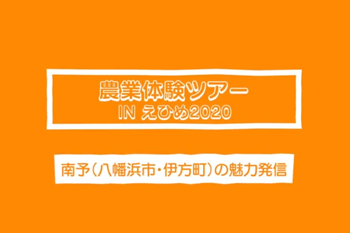 オンライン農業体験ツアーinえひめ2020　八幡浜地区の魅力発信